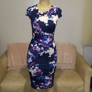 Felicity & Coco Sheath dress